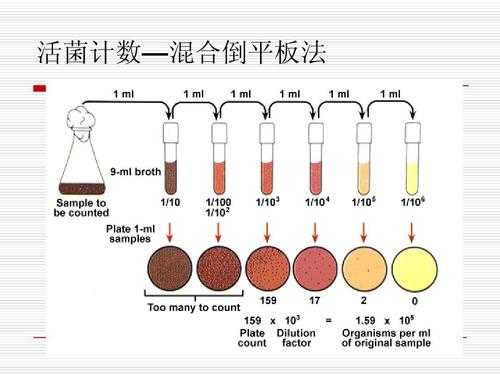 土壤中微生物的分离纯化（土壤中微生物的分离纯化平板菌落计数和观察）-图1