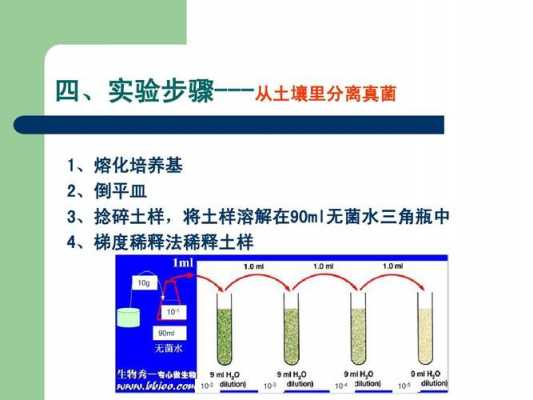 土壤中微生物的分离纯化（土壤中微生物的分离纯化平板菌落计数和观察）-图3