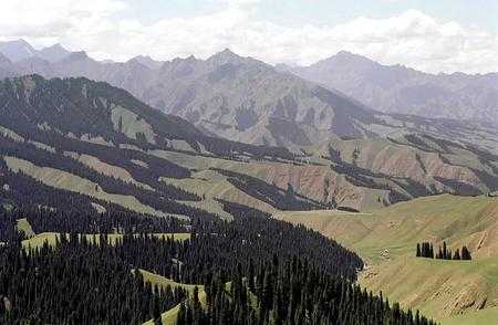 天山森林土壤（天山森林面积）