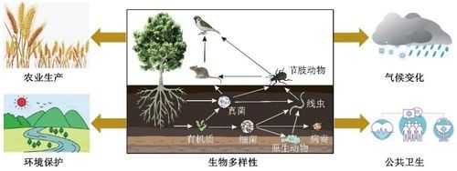 土壤能传播（土壤传播是新型冠状病毒的传播途径吗）-图1