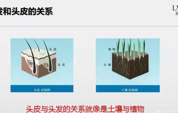 头发的土壤（头发放在土地会不会给土壤增肥）