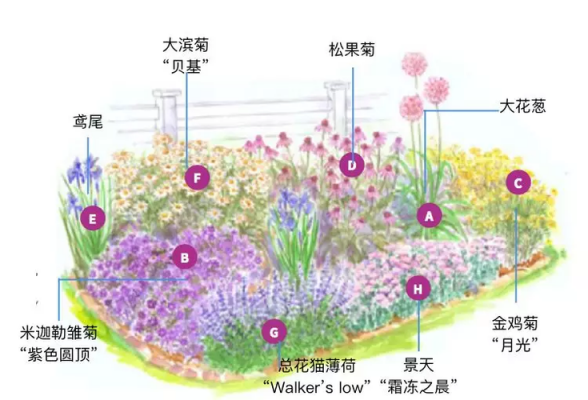 花境土壤（花境养护的注意事项）