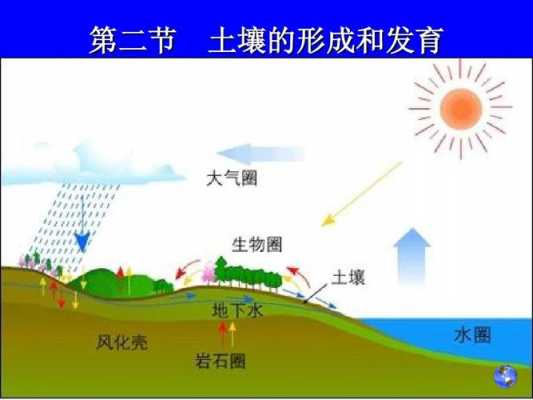 土壤形成（土壤形成过程示意图）-图3