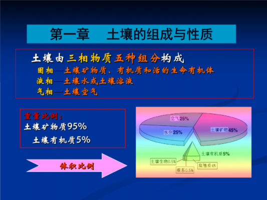 土壤中固相（土壤中固相占比）