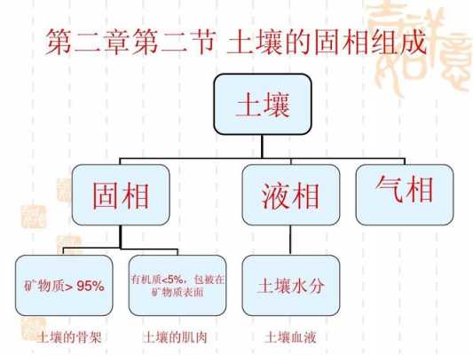 土壤中固相（土壤中固相占比）-图3