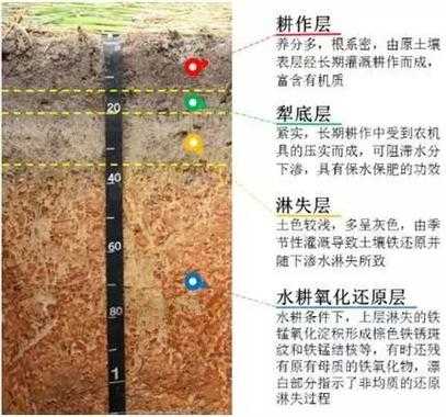 普通土壤覆土（土壤类别普通土）-图1