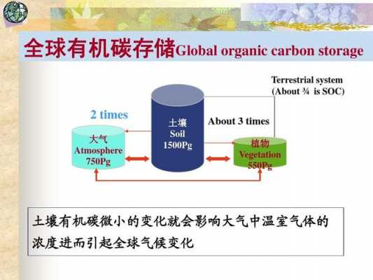 土壤有机碳（土壤有机碳库占全球陆地总碳库的）-图1