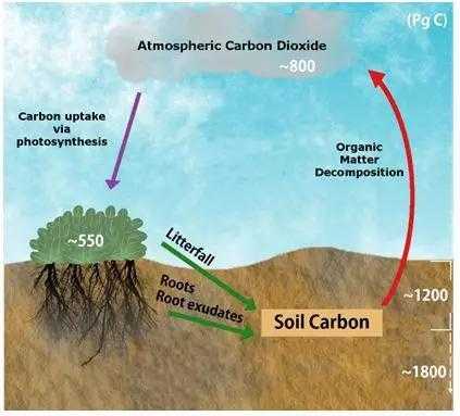 土壤有机碳（土壤有机碳库占全球陆地总碳库的）-图2