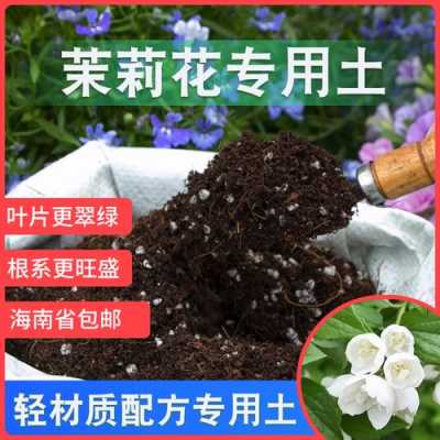 茉莉的土壤（茉莉土壤配制）-图2