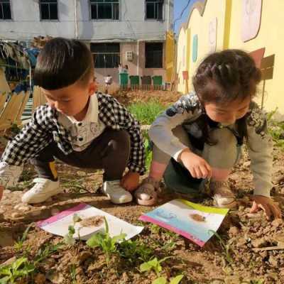 土壤和幼儿（土壤幼儿画）-图3