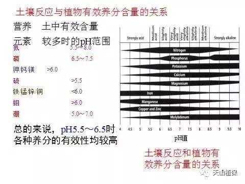 土壤吸收辐射（土壤对太阳辐射的吸收系数）