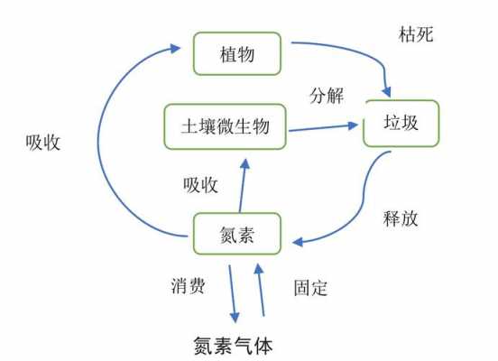 土壤中氮素的转化（土壤中氮素的转化过程主要包括哪些）-图3