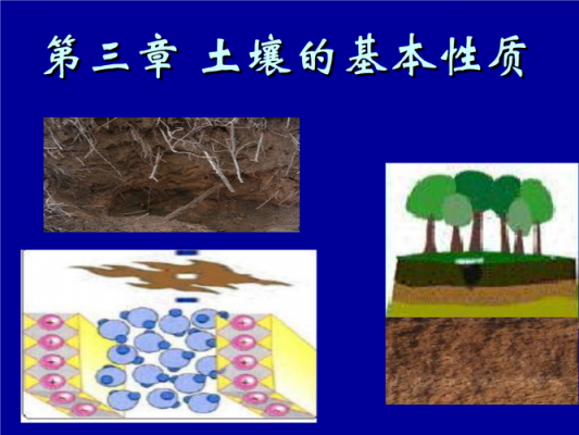 土壤孔隙类（土壤孔隙分为几种类型?各有何主要作用?）-图1