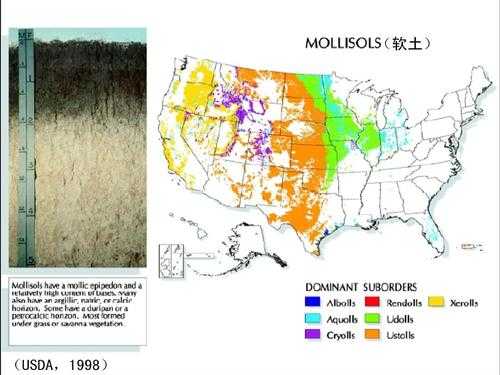 美国的土壤类型（美国土壤类型分布简介）-图1