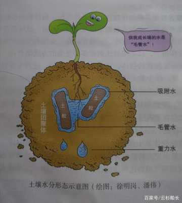 土壤含水物（土壤中含有水）