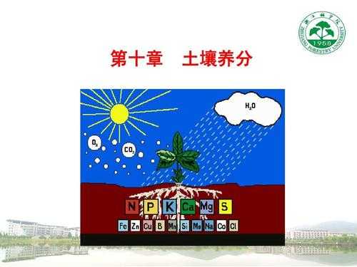 土壤养分植物（土壤养分概念）-图1