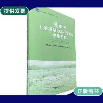 土壤地球化学测量报告（土地质量地球化学调查与评价）-图3