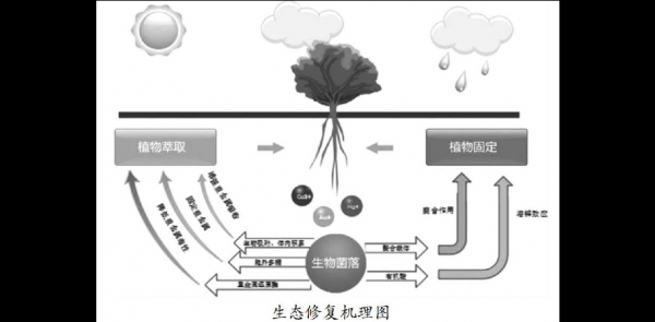 土壤复合污染修复（土壤复合污染修复的原理）-图1