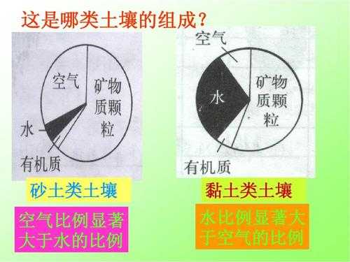 什么的土壤（什么的土壤填空词语二年级）-图2