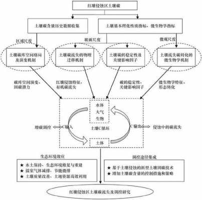 土壤商机（土壤机制）