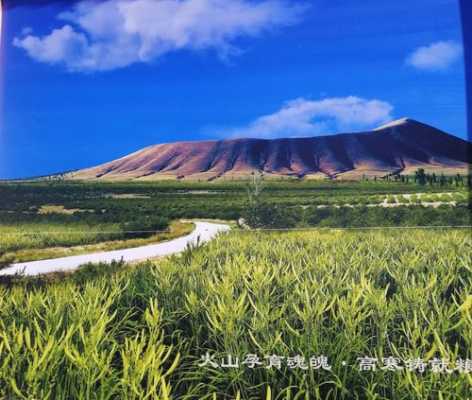 云州区土壤（云州区土壤类型）-图3