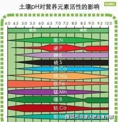 土壤酸碱度与农作物（土壤的酸碱度对土壤有哪些影响）-图2