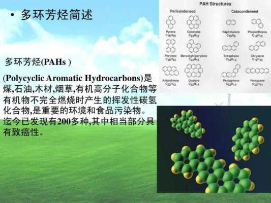 包含土壤多环芳烃检测方法的词条