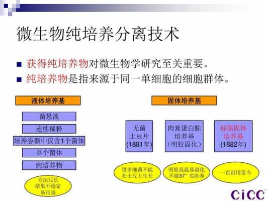 如何从土壤中分离和纯化微生物（如何从土壤中分离纯化菌种）-图2