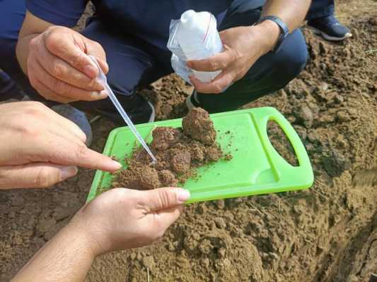 土壤样本（土壤样本采集地有哪些）-图1