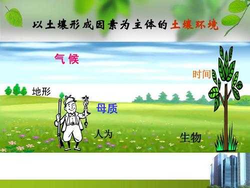 生物影响土壤形成（生物是影响土壤形成的最主导因素）-图3