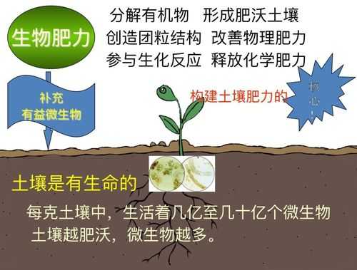 土壤是不是生物（土壤是生物因素还是非生物因素）-图2