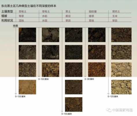 土壤的颜色及分布（土壤的颜色有哪些作用）-图2