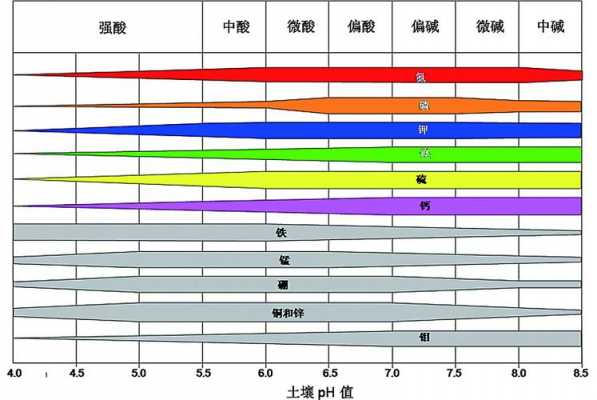 土壤的PH（土壤的ph值）-图1