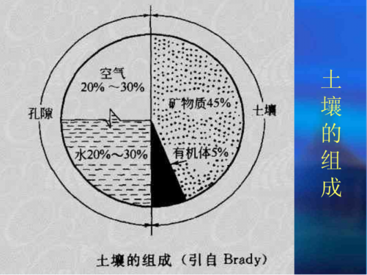 工程土壤环境（环境工程土壤方向）-图2