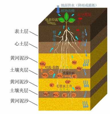 柳州土壤剖面（土壤剖面示意图手绘）-图2