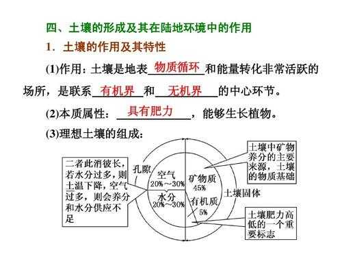 土壤的肥力（土壤的肥力主要集中在哪一层）