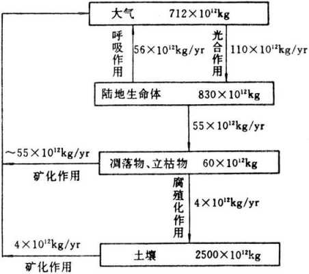 土壤有机质转化（土壤有机质转化的两种类型）-图3