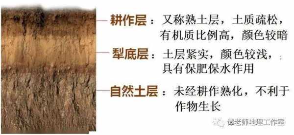 名词解释土壤剖面（简述土壤剖面的形态特征）-图2