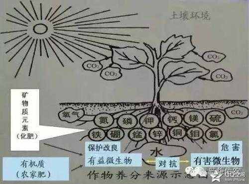 温室土壤改良（温室土壤改良的原因）