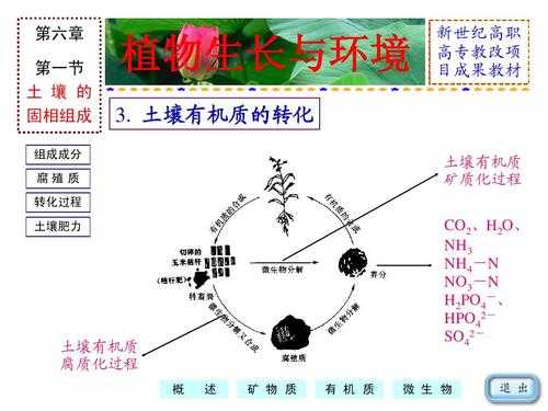 土壤有机质来源（土壤有机质来源是什么）