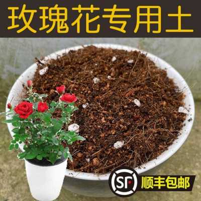 玫瑰土壤比例（玫瑰用什么土壤比较好）-图2