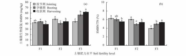 土壤微生物量氮（土壤微生物量氮含量）-图1