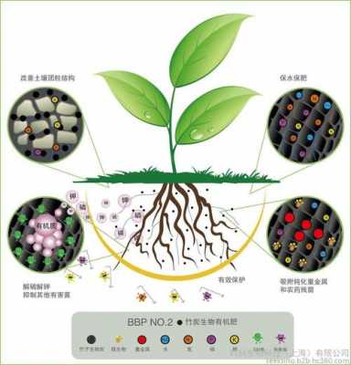 有机肥对土壤的作用（有机肥对植物和土壤的作用有哪些?）-图2