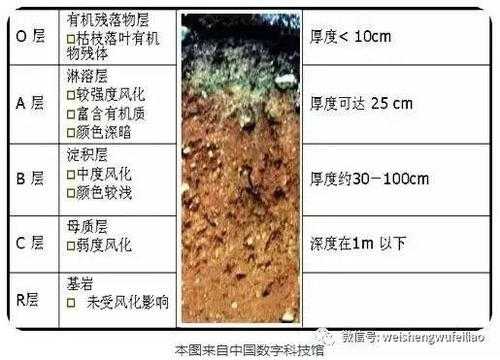 土壤潴育层（土壤潴育化名词解释）-图2