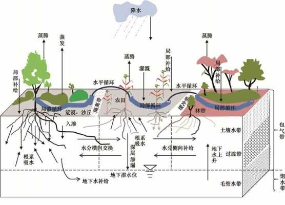 包气带土壤（包气带土壤降水入渗速率与饱和渗透系数的关系）