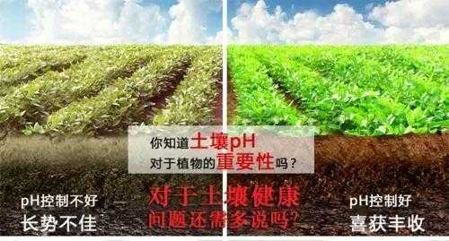 硫磺土壤杀菌（硫磺对土壤的作用）-图1