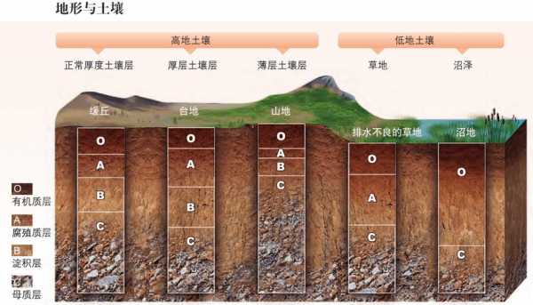 地形与土壤（地形与土壤关系示意图）