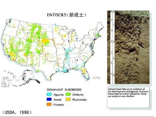 美国土壤分类（美国土壤分类 沙粒）-图2