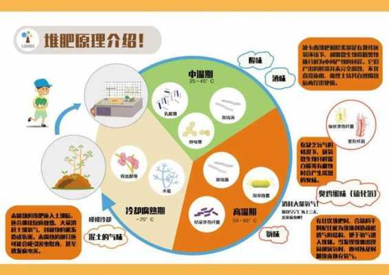 好氧土壤（分析好氧堆肥的基本原理,好氧堆肥化的微生物）-图2