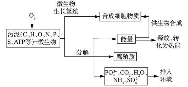 好氧土壤（分析好氧堆肥的基本原理,好氧堆肥化的微生物）-图3